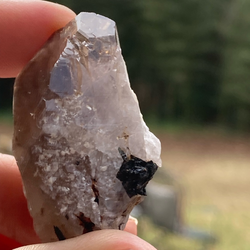 Smoky Quartz with Aegirine from Malawi, South Africa - Picture 9 of 15